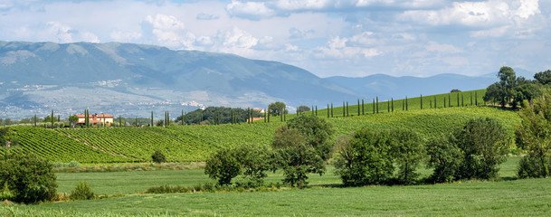 Ferme à Bevagna