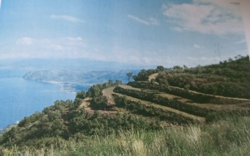 Terreno edificable en Gioiosa Marea