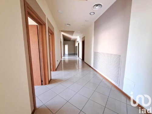 巴迪亚波莱西内商业房产