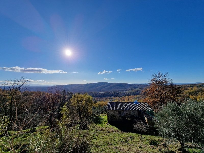 Solar em Monte San Savino