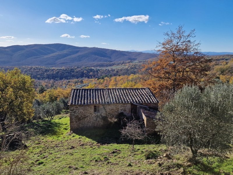 Cabaña en Monte San Savino