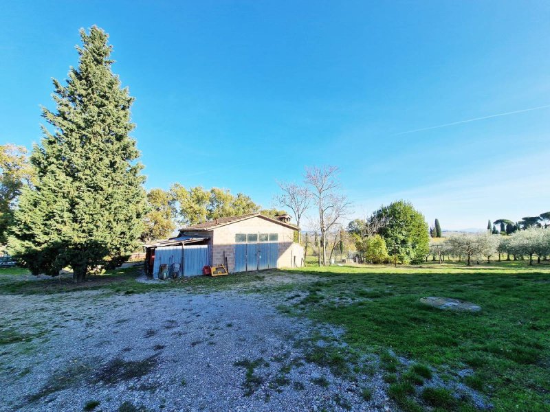 Lantställe i Montepulciano