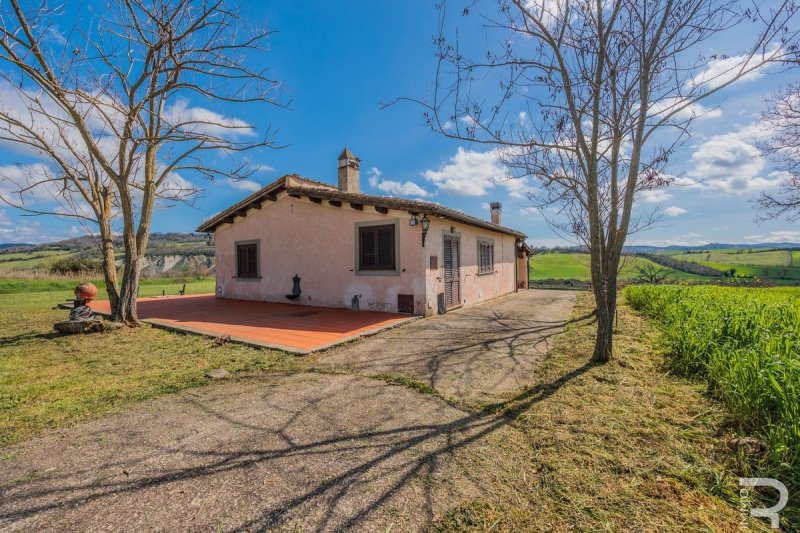 Lantställe i Manciano