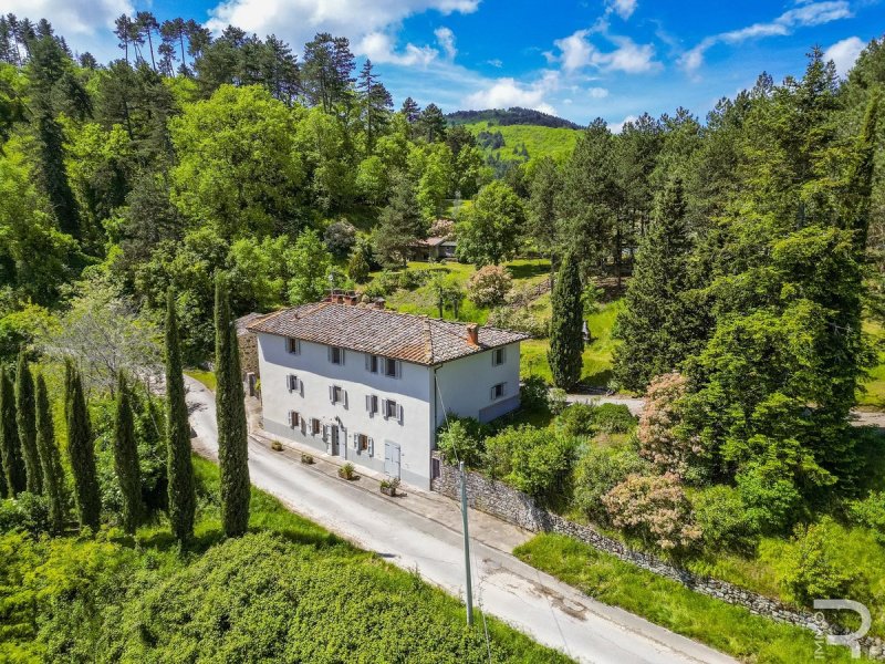 Farmhouse in Montevarchi