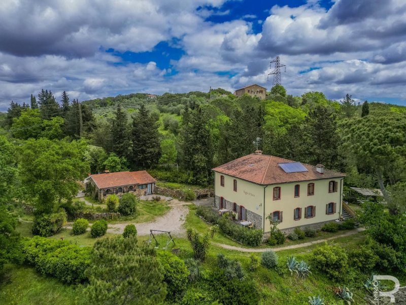 Agriturismo a Suvereto