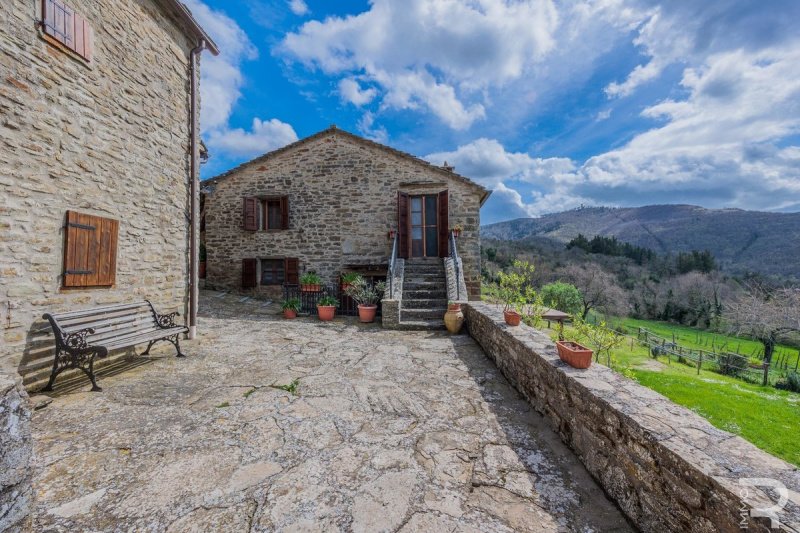 Country house in Cortona