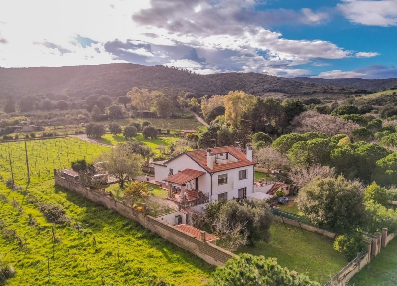 Detached house in Piombino