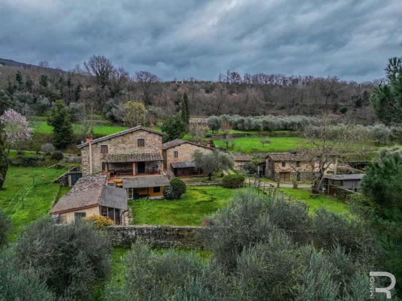 Agriturismo a Terranuova Bracciolini