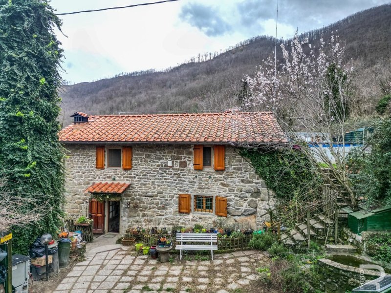 Country house in Rufina