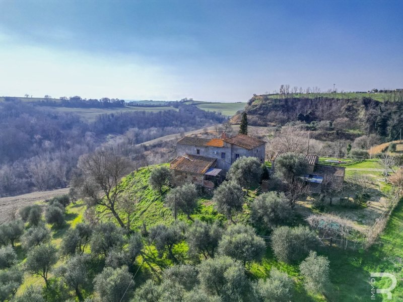 Country house in Asciano