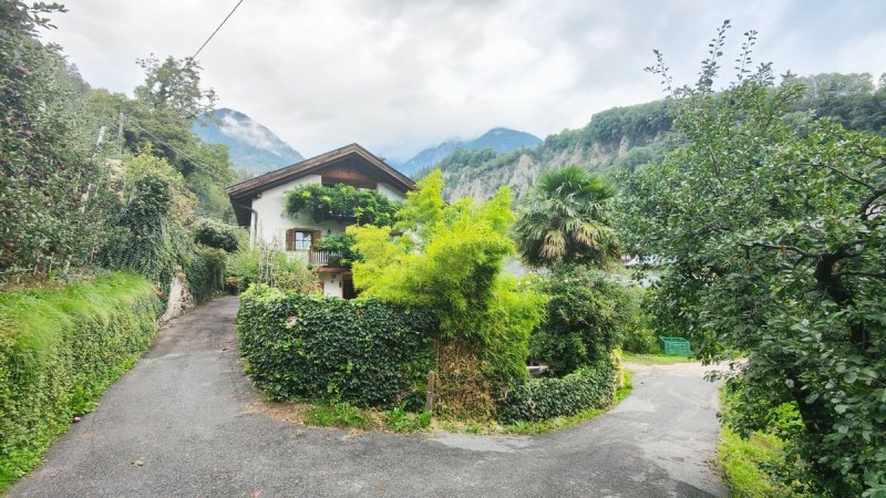 House in Tirol