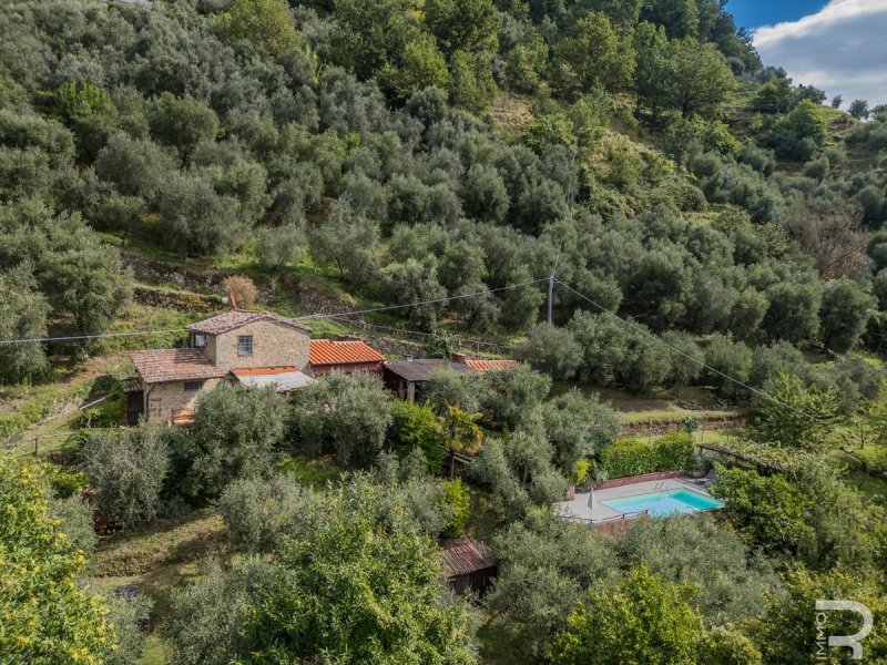 Hus på landet i Bagni di Lucca