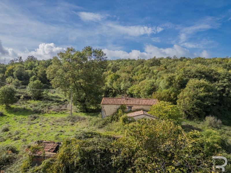 Casa de campo em Scansano