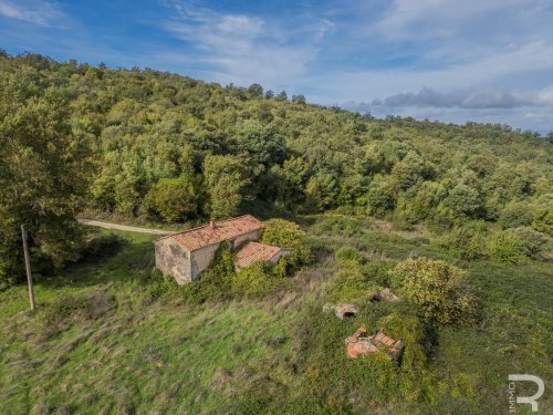 Casa de campo em Scansano