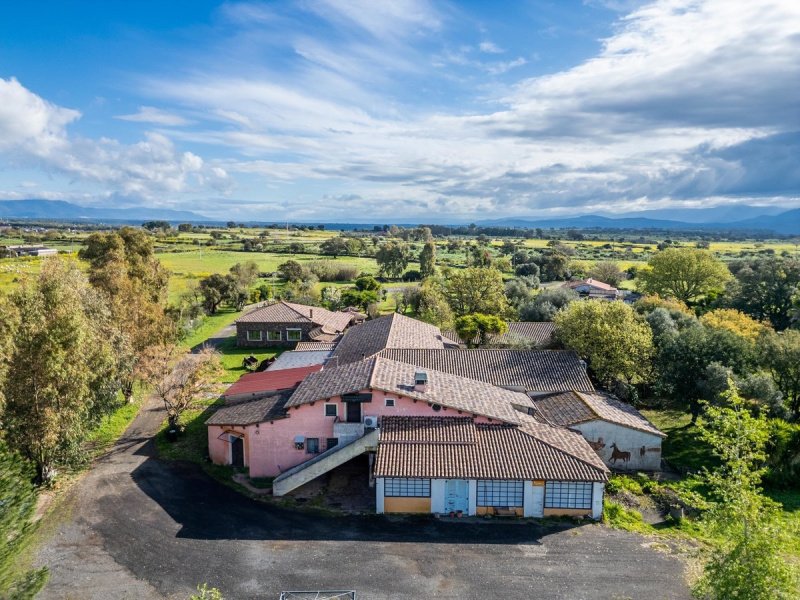 Коммерческая недвижимость в Гиларца