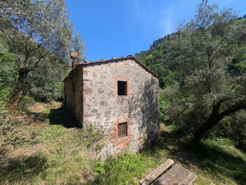 Hus på landet i Lucca