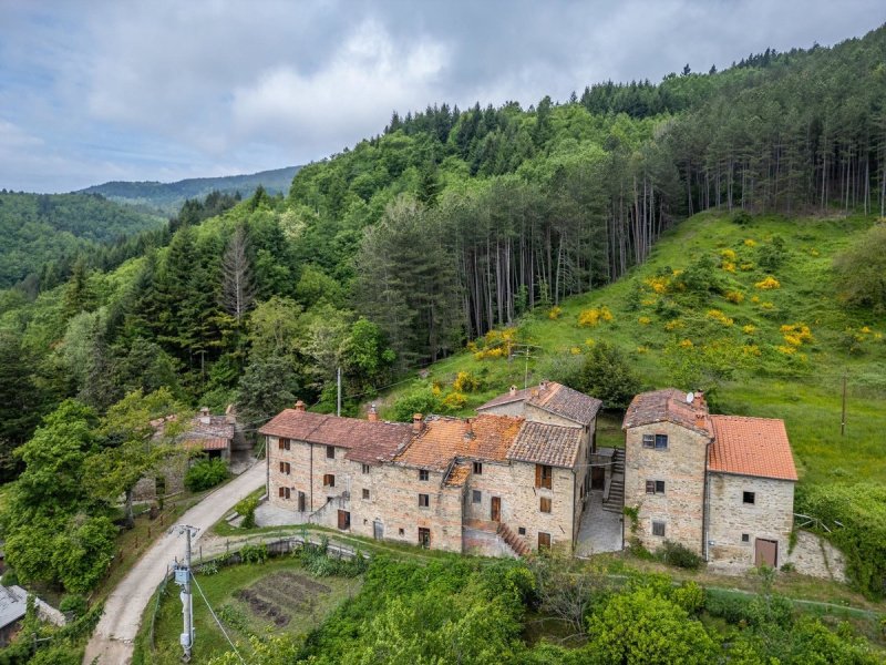 Hus på landet i Bibbiena