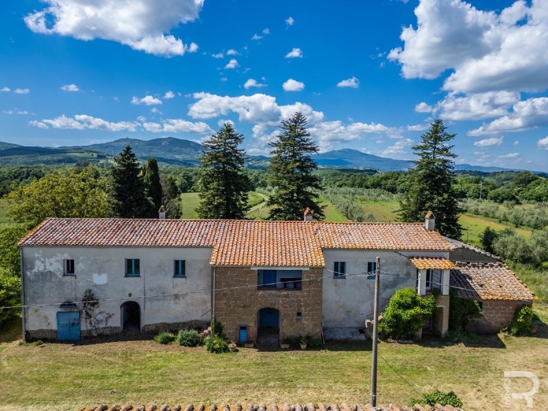 Casa de campo en Sorano