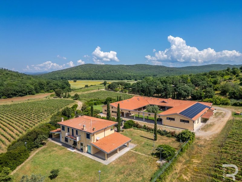 Landwirtschaftlicher Betrieb in Capalbio