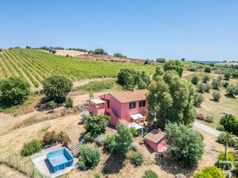 Hus på landet i Magliano in Toscana