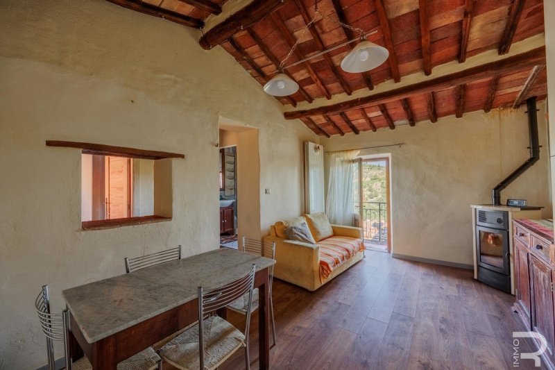 Apartment in Castelnuovo Berardenga