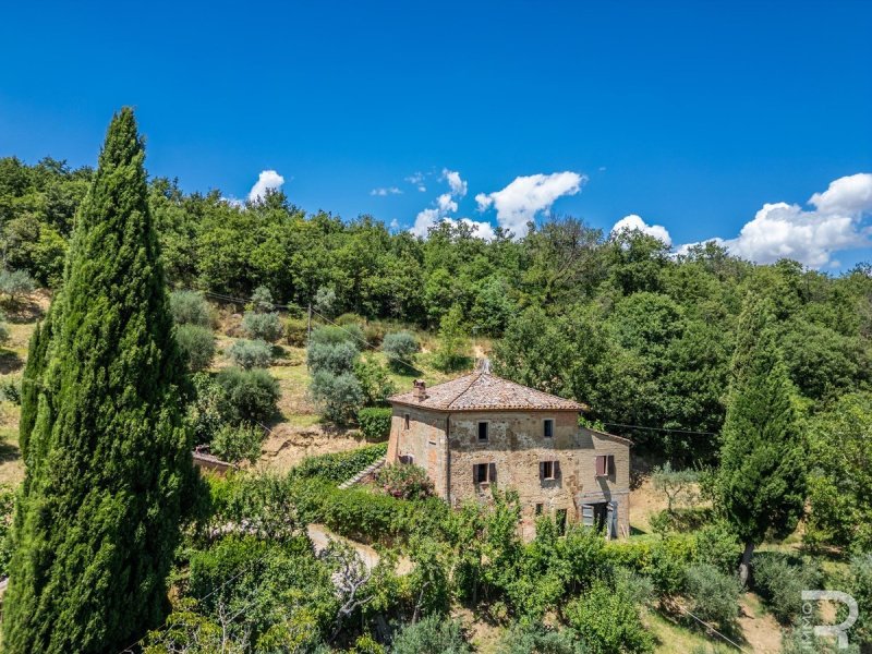 蒙特普尔恰诺房屋