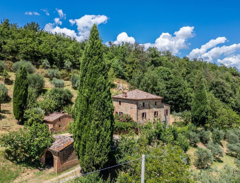 蒙特普尔恰诺房屋