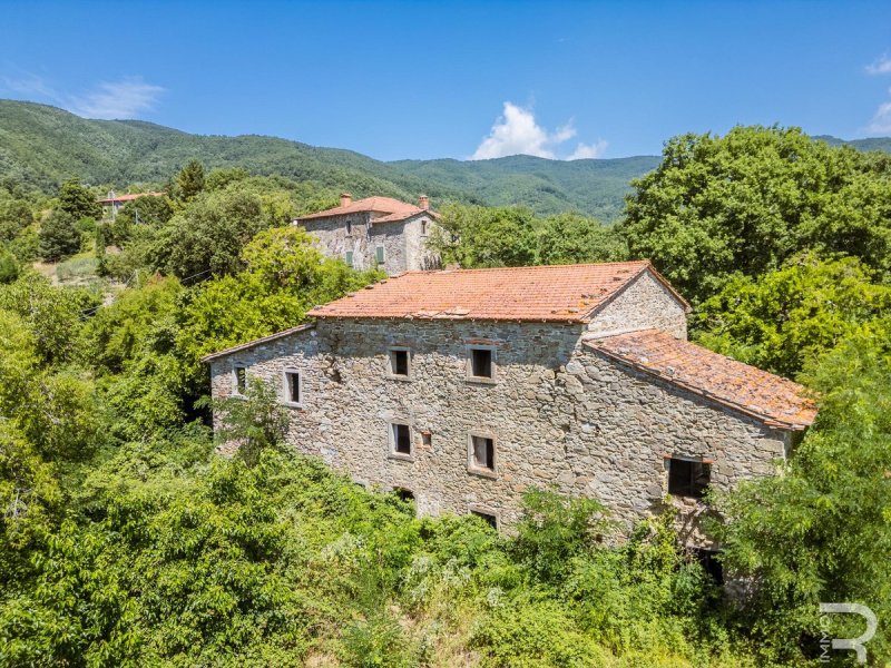 Country house in Bibbiena