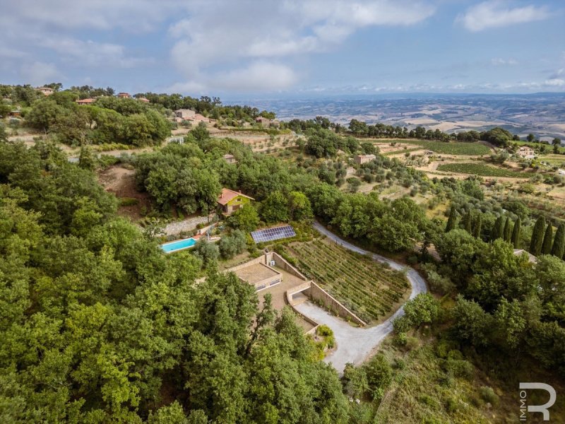 Ферма в Монтальчино