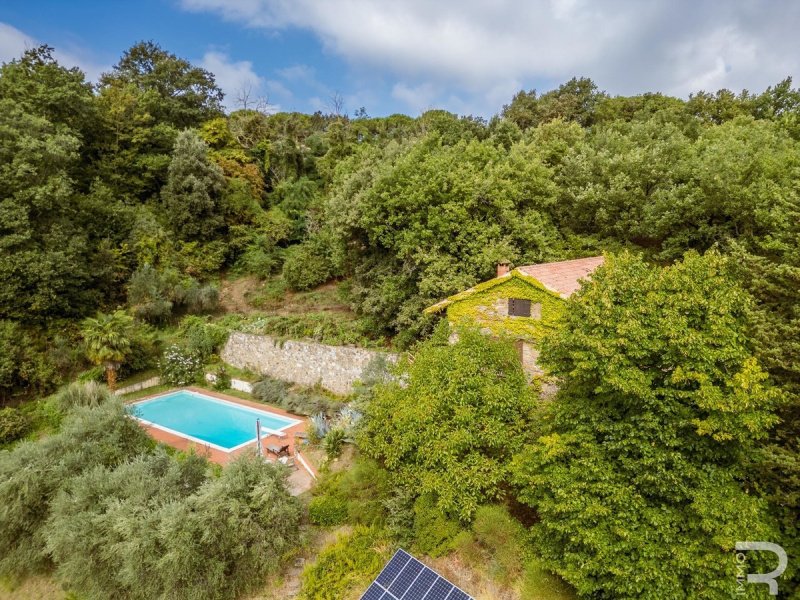 Ферма в Монтальчино