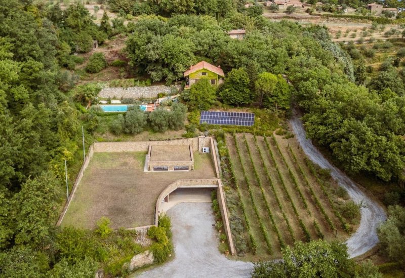 Ферма в Монтальчино