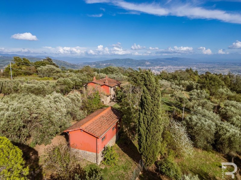 乌扎诺乡间房屋