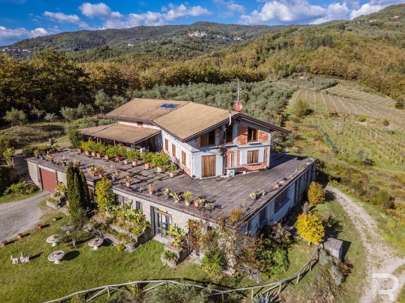 Агротуризм в Фивиццано