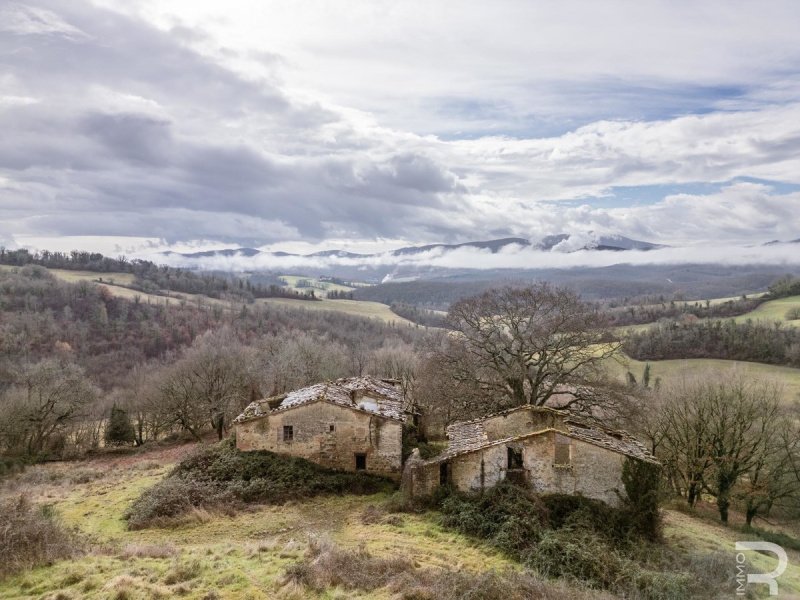 拉迪孔多利房屋