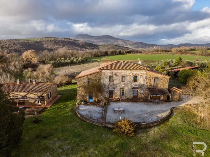 Casa de campo en Sorano