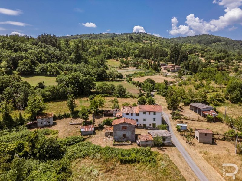 Huis in Castel San Niccolò