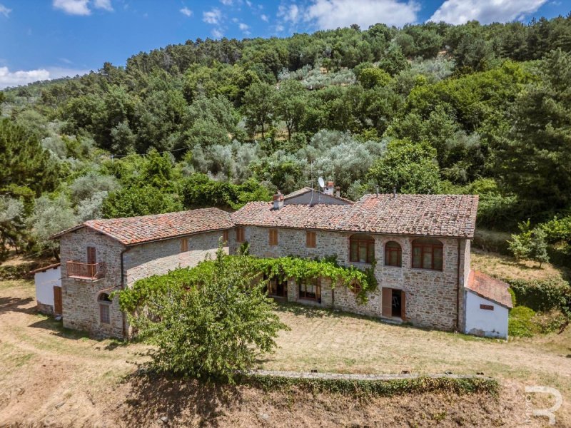 Country house in Castelfranco Piandiscò