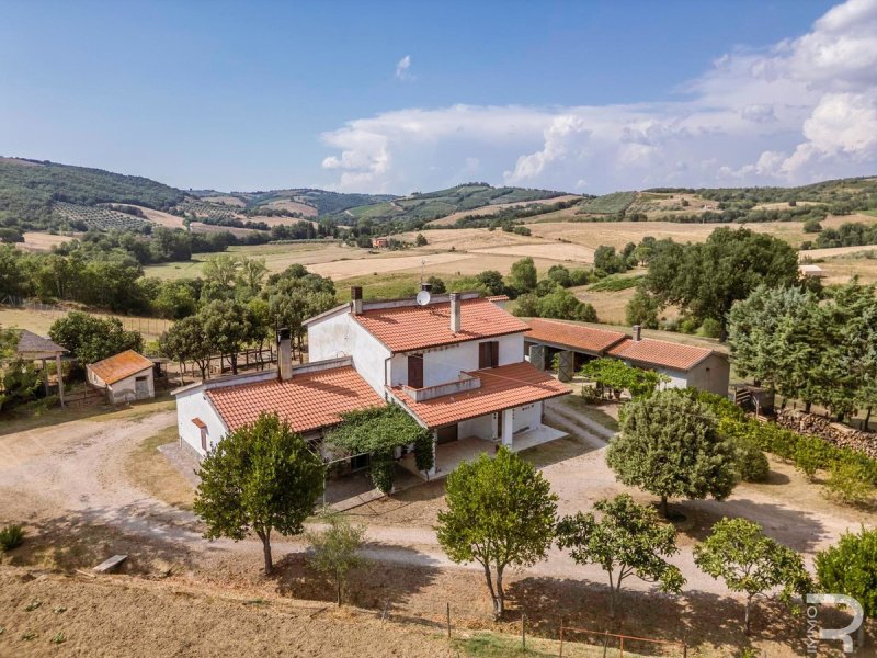 Casa de campo em Cinigiano