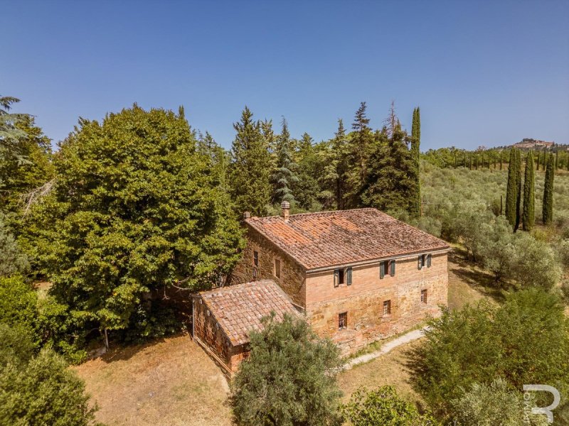 Maison à Asciano