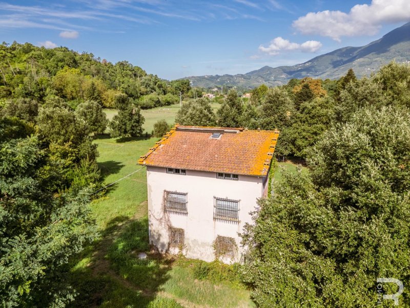 House in Camaiore