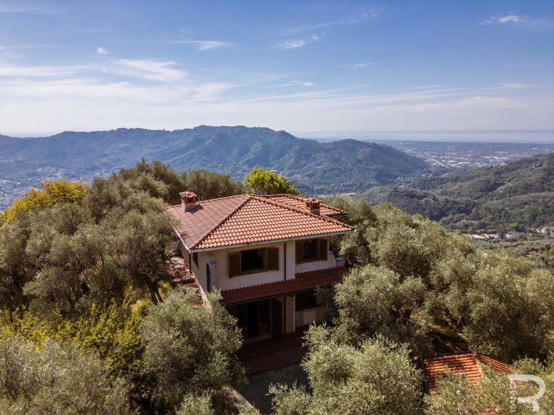 Villa in Camaiore