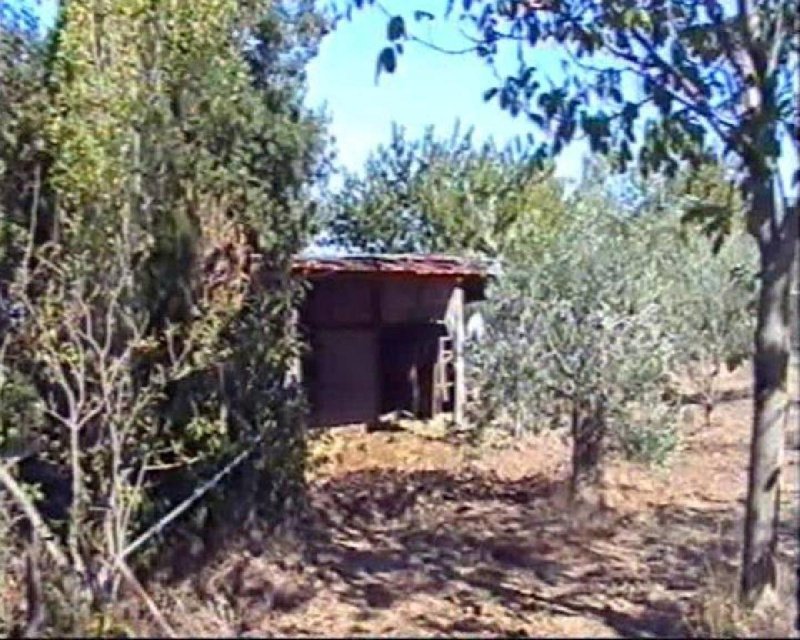 Terreno edificable en Roma