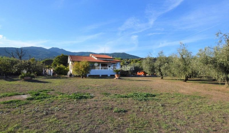 Villa en Campo nell'Elba