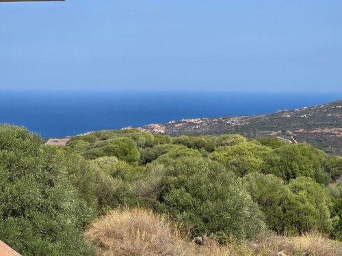 Apartment in Trinità d'Agultu e Vignola