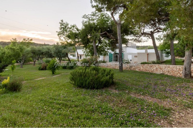 Agriturismo a Ostuni