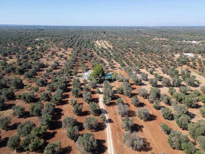 Trullo en Ostuni