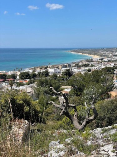 Plattelandtoerisme in Morciano di Leuca