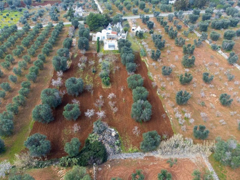 Trullo a Ostuni