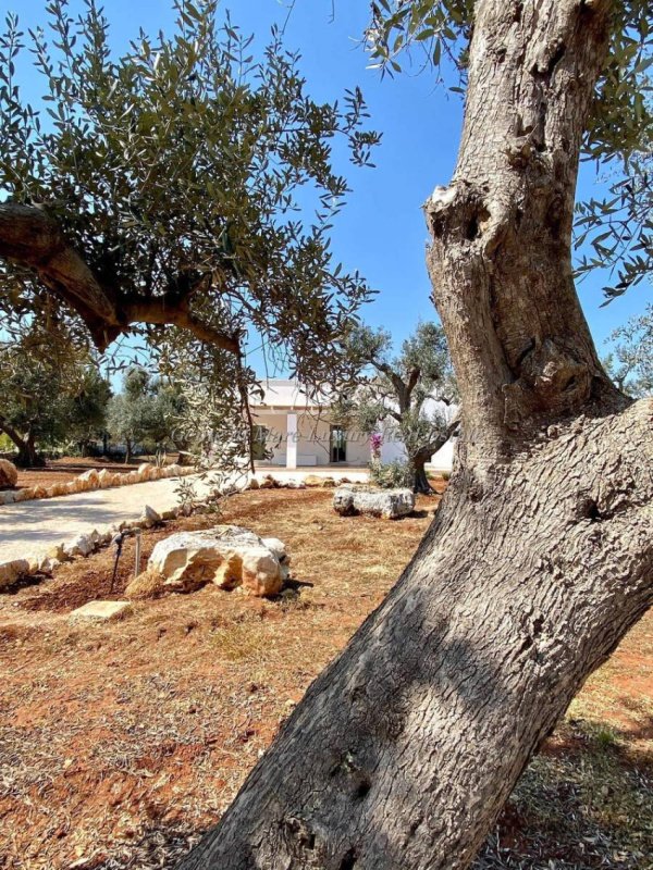 Hus i Ostuni