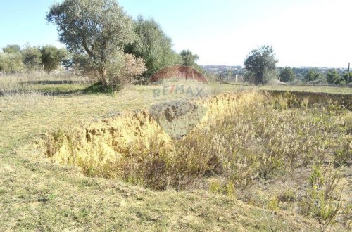 Agricultural land in Grammichele